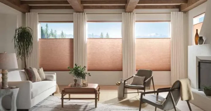 How the Right Curtains and Shades Can Transform Your Home