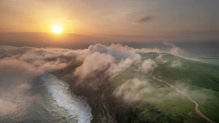 The Summer Trilogy: A Journey Through Sun, Stories, and Seasons